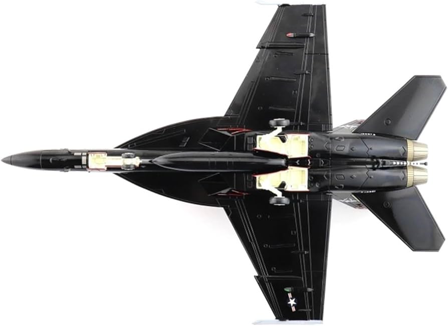 Amazon.co.jp: 装飾された飛行機模型 1: 72 HA5136 F/A-18F